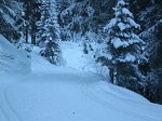 SENTIERO DEL BOSCO INNEVATO